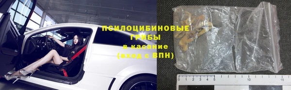 ГАЛЛЮЦИНОГЕННЫЕ ГРИБЫ Новозыбков