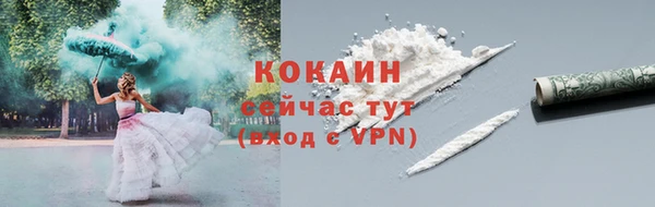 ГАЛЛЮЦИНОГЕННЫЕ ГРИБЫ Новозыбков