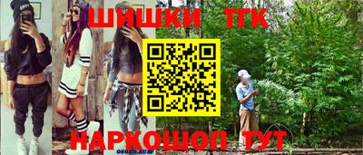 твердый Бийск