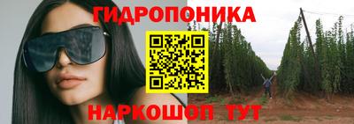 твердый Бийск