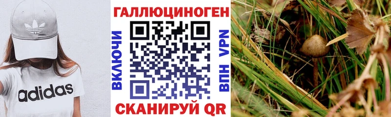 дарнет шоп  Челябинск  Псилоцибиновые грибы Magic Shrooms 