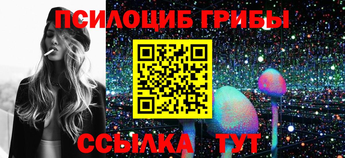 Галлюциногенные грибы MAGIC MUSHROOMS  Челябинск  Псилоцибиновые грибы Psilocybe 