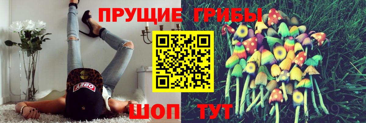 Галлюциногенные грибы GOLDEN TEACHER Челябинск