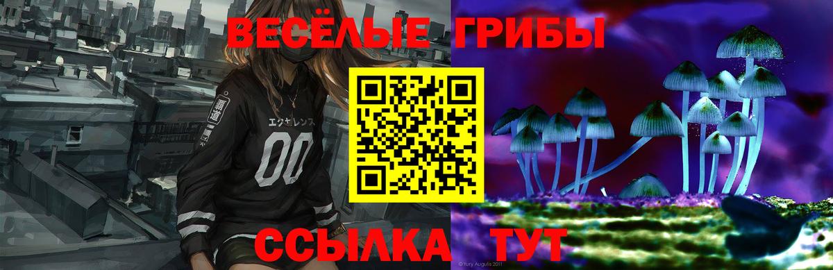 Псилоцибиновые грибы Psilocybine cubensis  Псилоцибиновые грибы ЛСД  Вход с VPN  Челябинск 